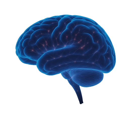 Glowing neural brain representing epilepsy support